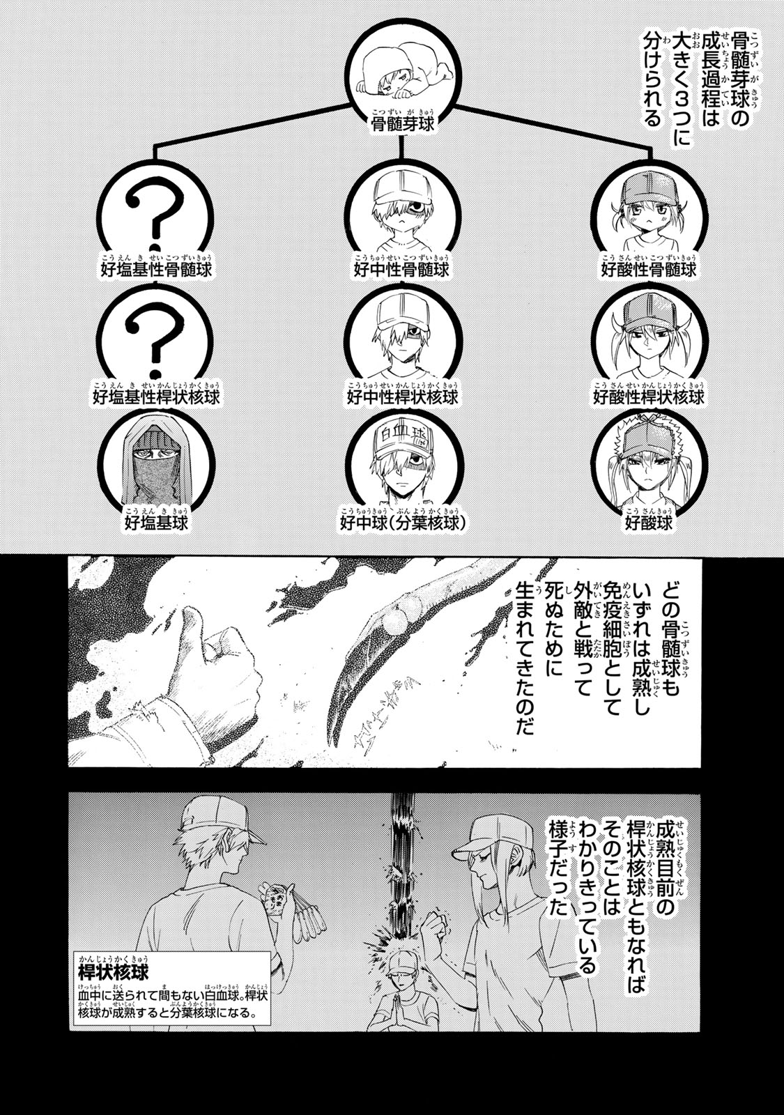 Hataraku Saibou - Chapter 27 - Page 4